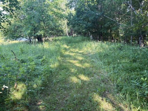 320th 320th Street, Browerville, MN 56438