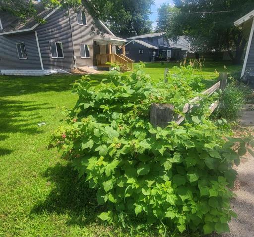 409 2nd Avenue S, Long Prairie, MN 56347