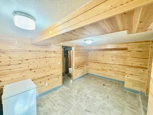 Basement bedroom 3