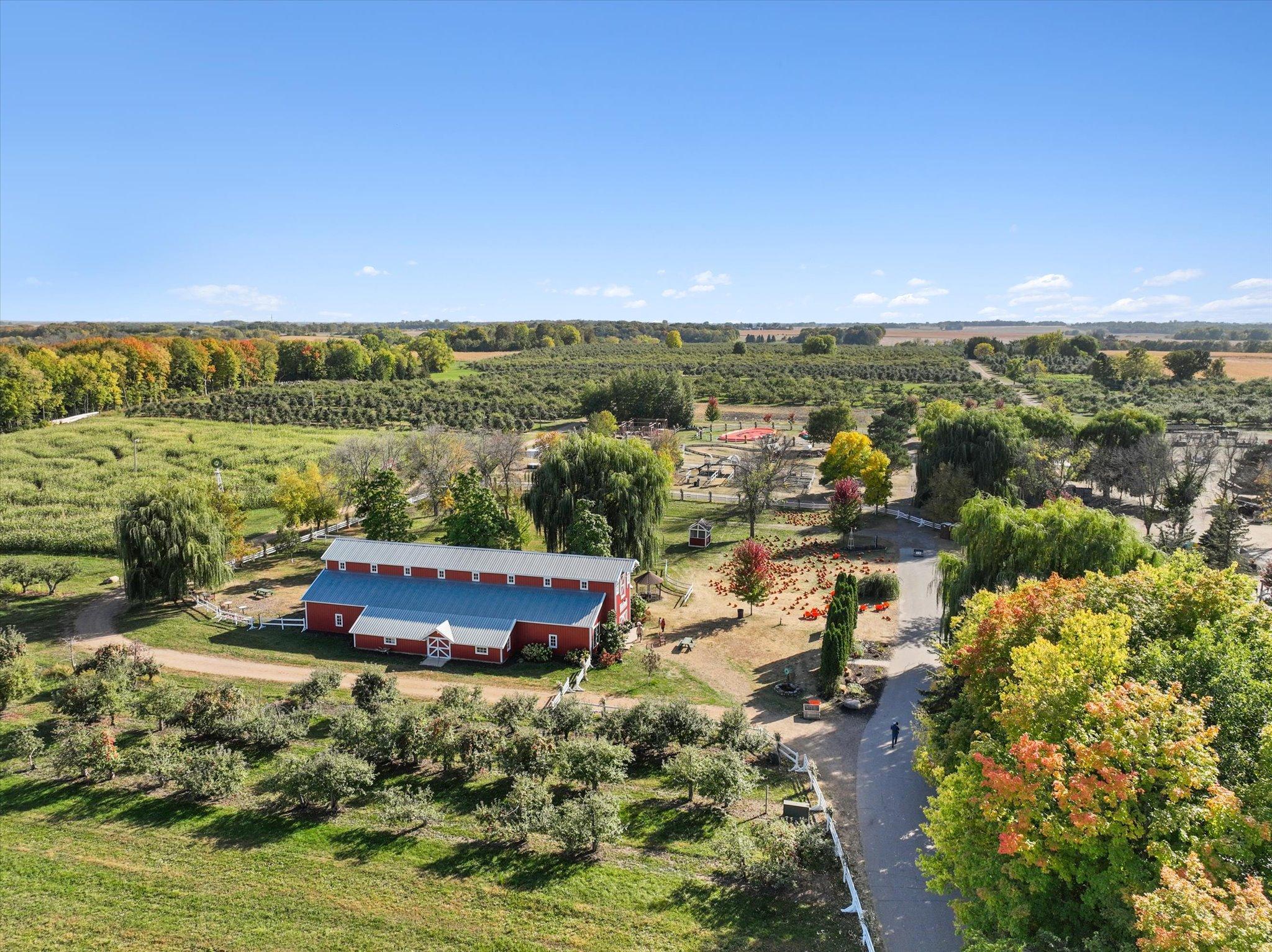 Pick your own apples at Minnesota Harvest Orchard in Jordan