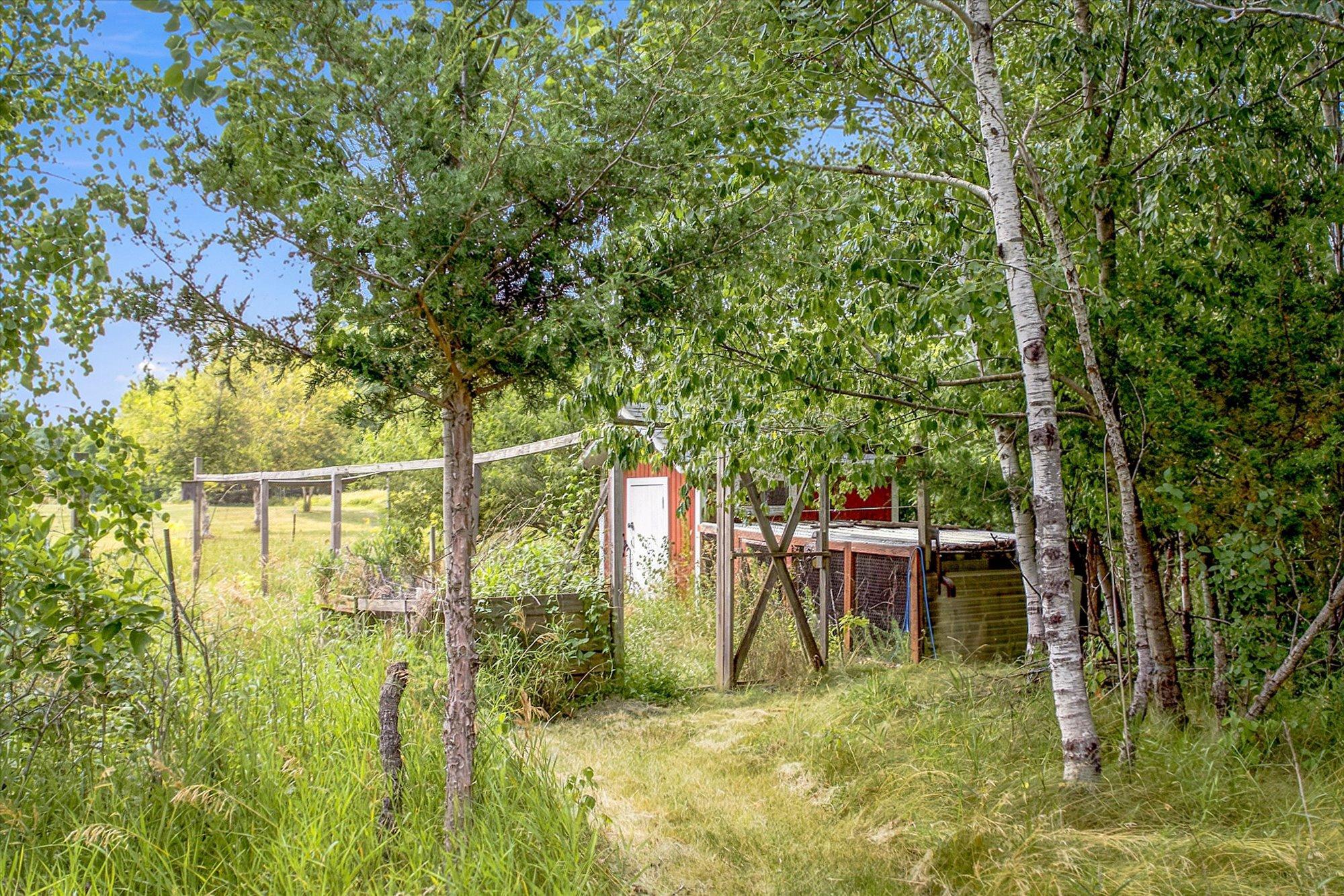 Chicken Coop in the Woods