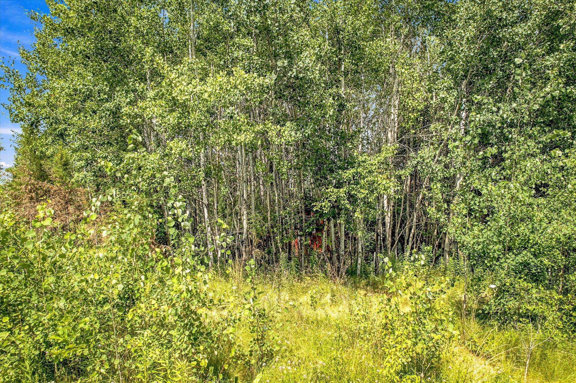 There’s a small “Cabin” in the woods too!
