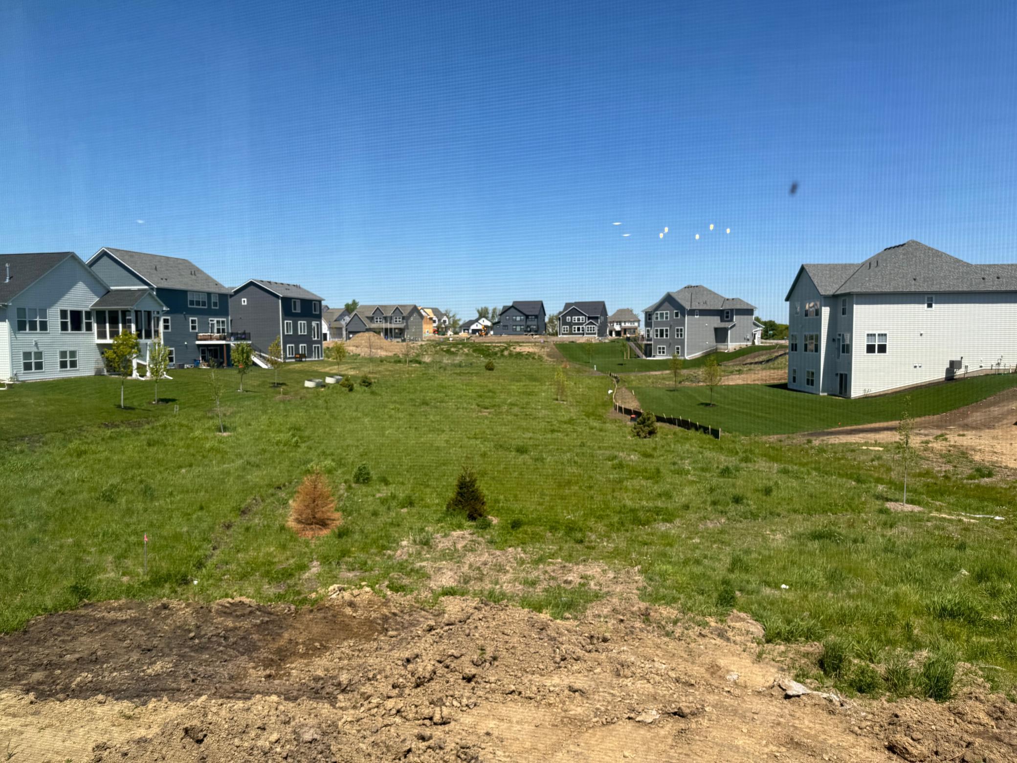 View out the backyard