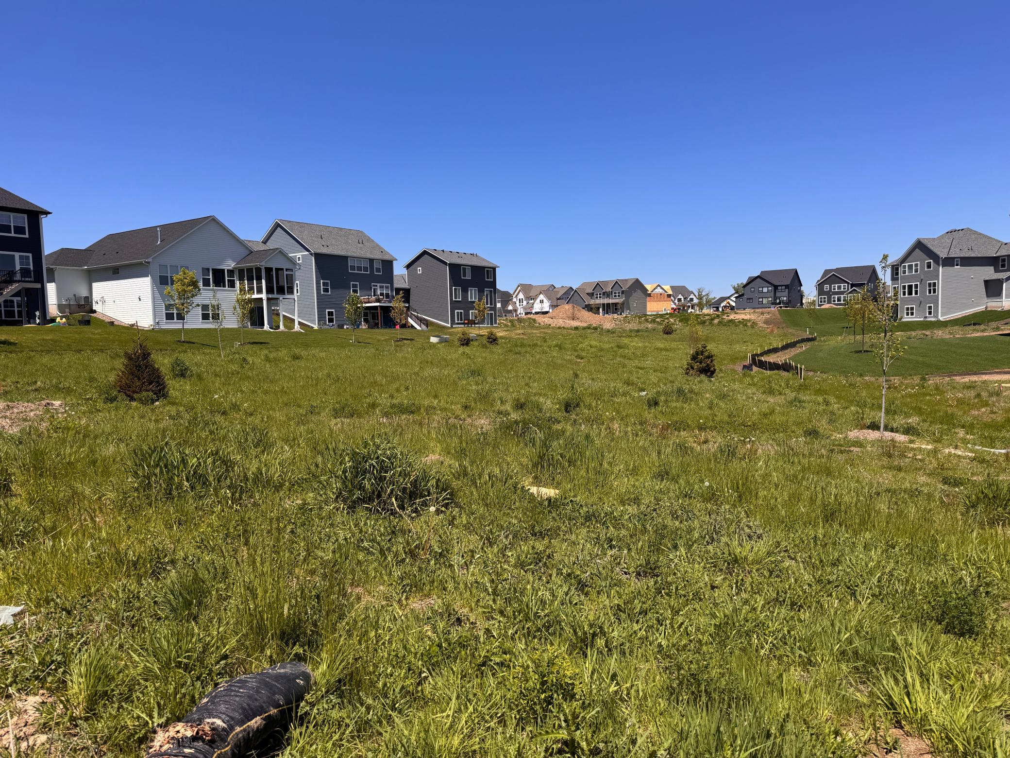 View out the backyard