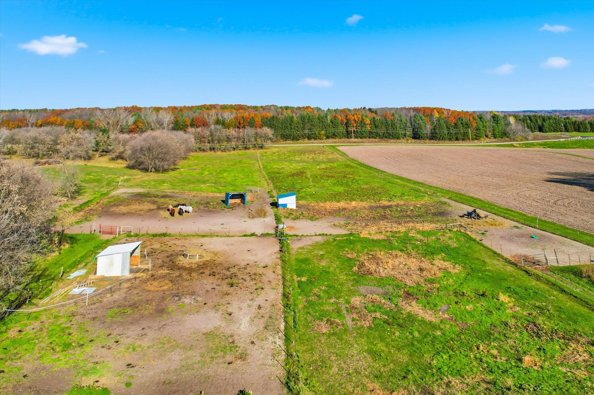 Fenced Pastures