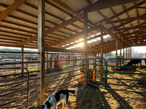Main Barn
