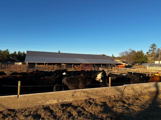 Pastures, Paddocks and Feed Bunks