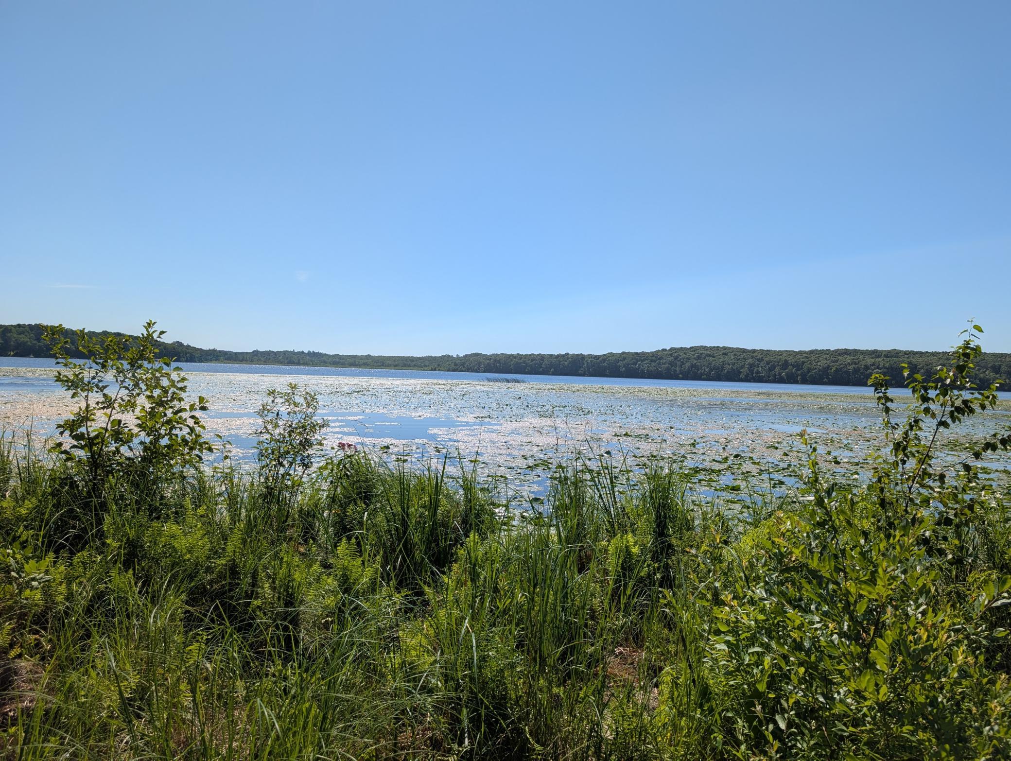 Opposite side of the lake is all a preserve, minimizing traffic and maximizing your view.