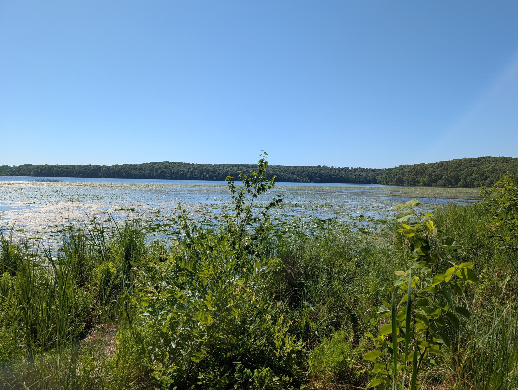 Enjoy Kayaking, pontooning, fishing and swimming in this great recreational lake.