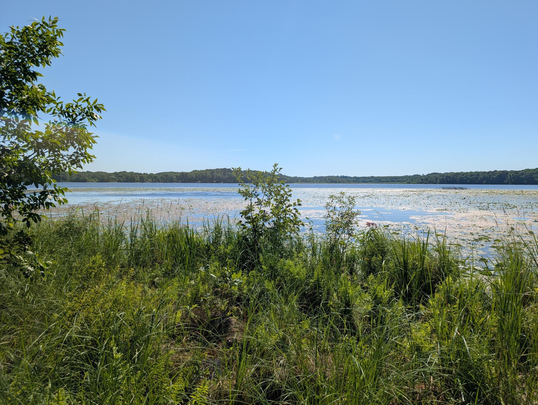 200 feet of lakeshore.