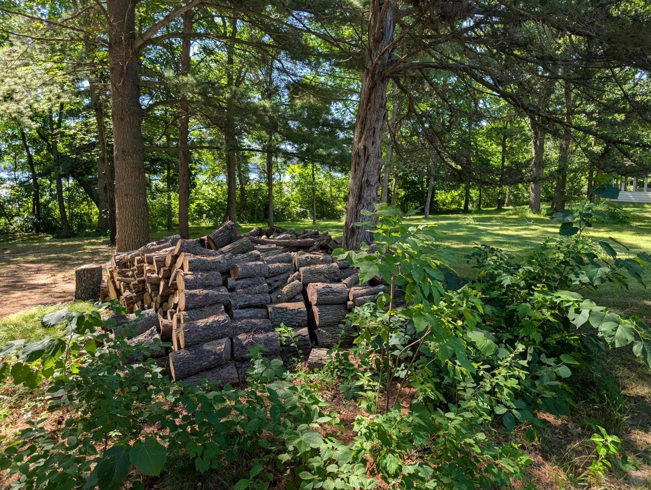A great start to your wood pile!