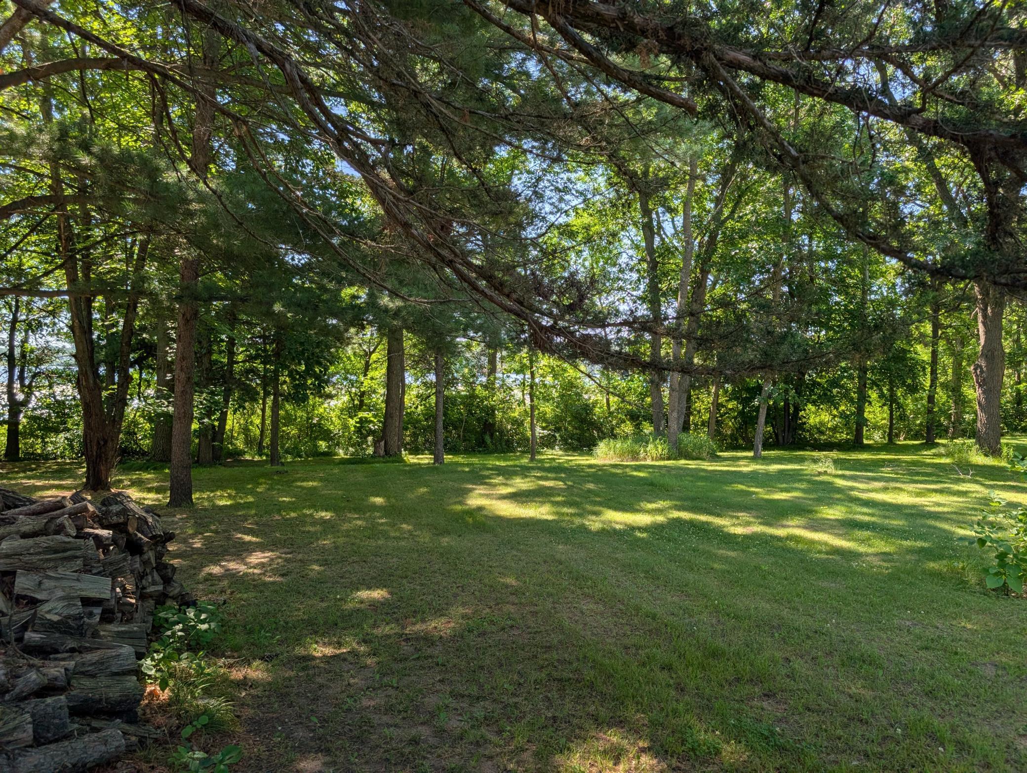 Gentle sloping lawn on this 1.16 acre lot.