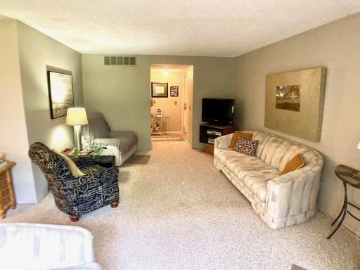 Spacious living room.jpg