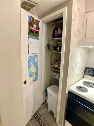 Convenient pantry closet.jpg