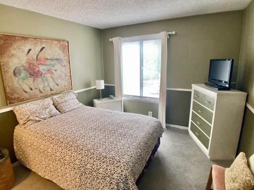 Guest bedroom with southerly exposure.jpg