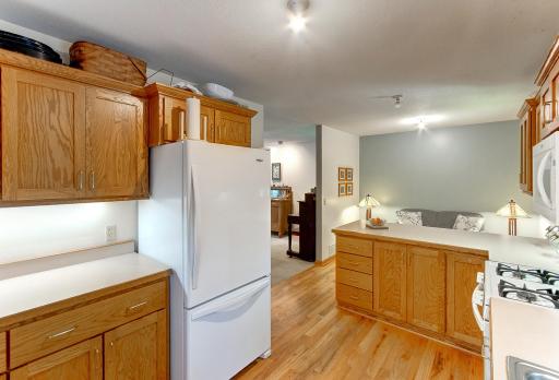 2989 140th Street E, Dundas, MN 55019