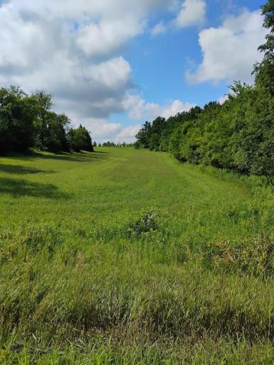 Field East of Driveway from 140th St East looking south
