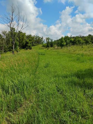 Trail from Field East of Driveway going North toward 140th St. East