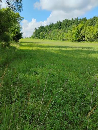 Field East of Driveway from 140th St East looking to the South