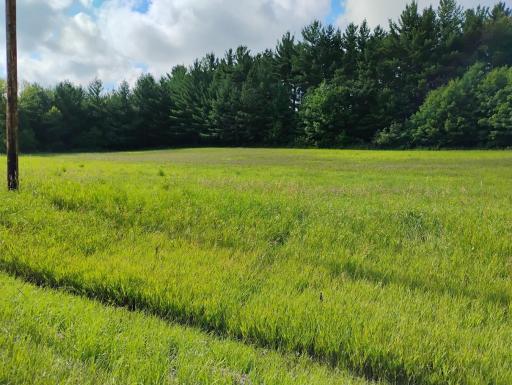 Field West of Driveway from 140th Street (we are looking SE)