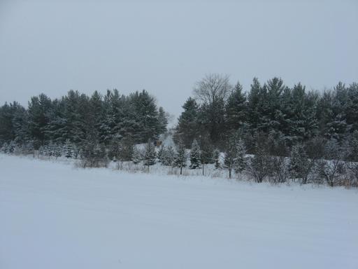 2989 140th Street E, Dundas, MN 55019