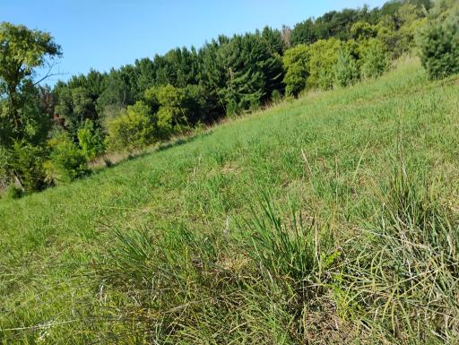 2989 140th Street E, Dundas, MN 55019