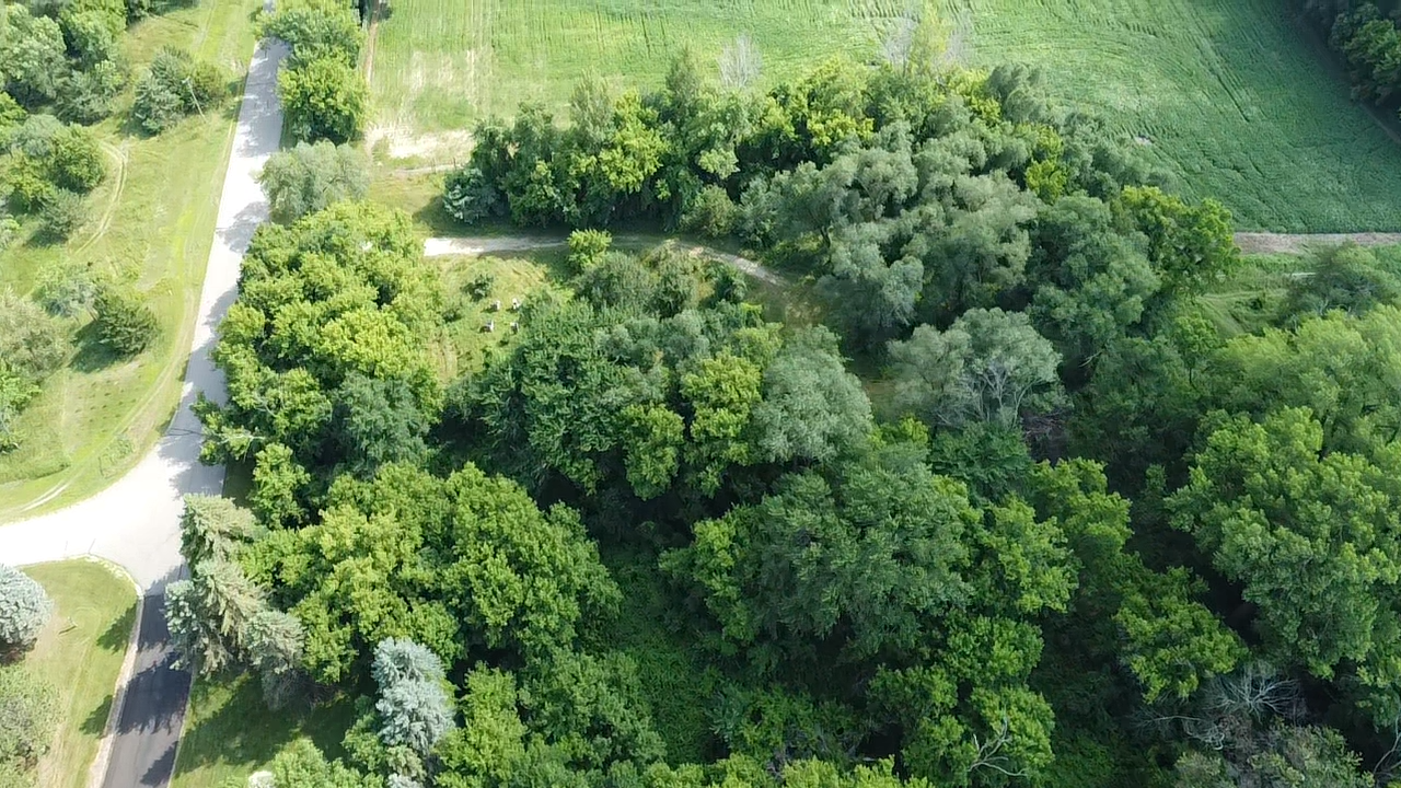 Just 9 minutes to Buffalo & Delano. Rare, hard to find small acreage wooded lots that are Open-Build