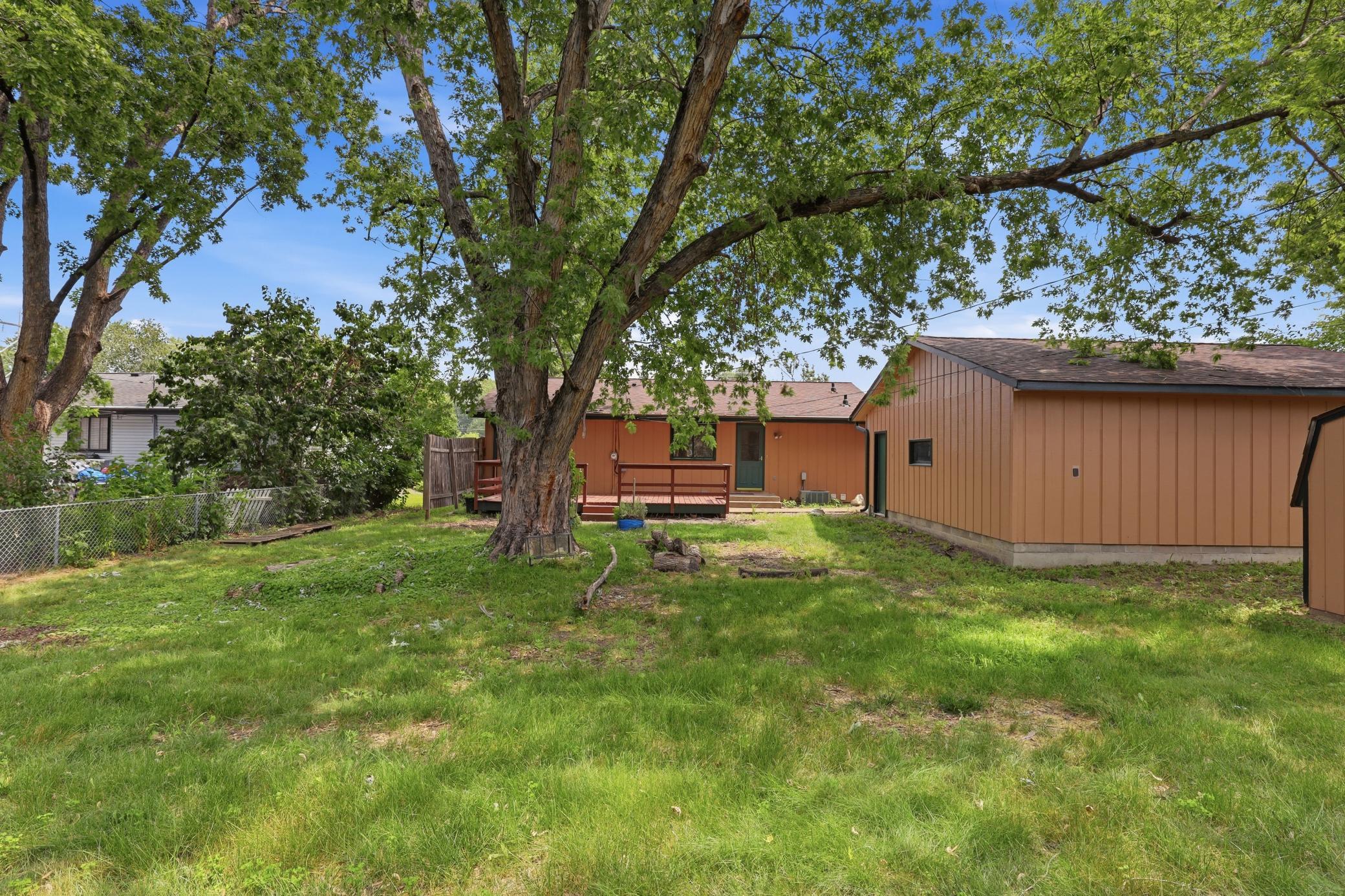 Mature tree adds summer shade