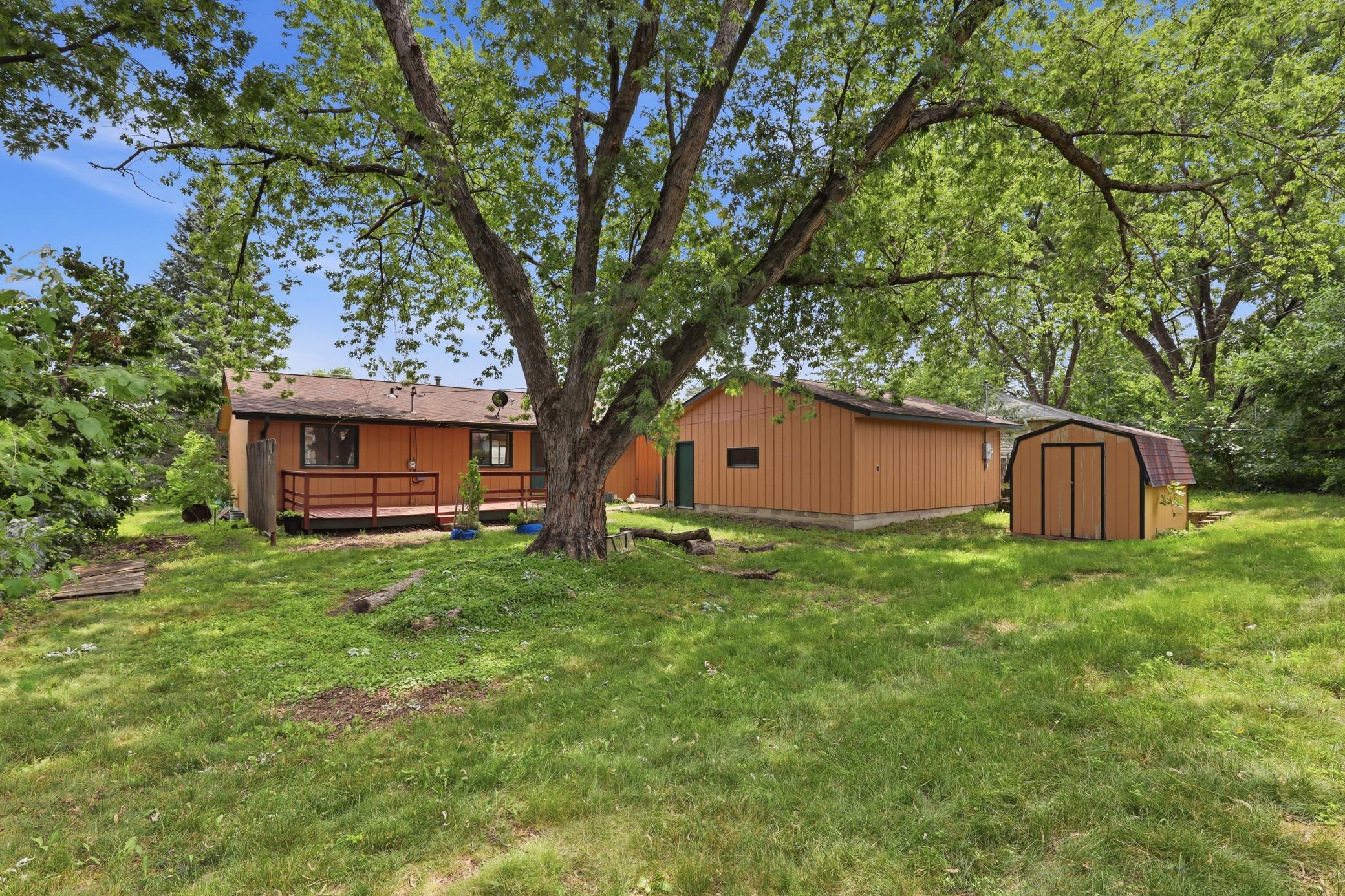 Large mostly level backyard