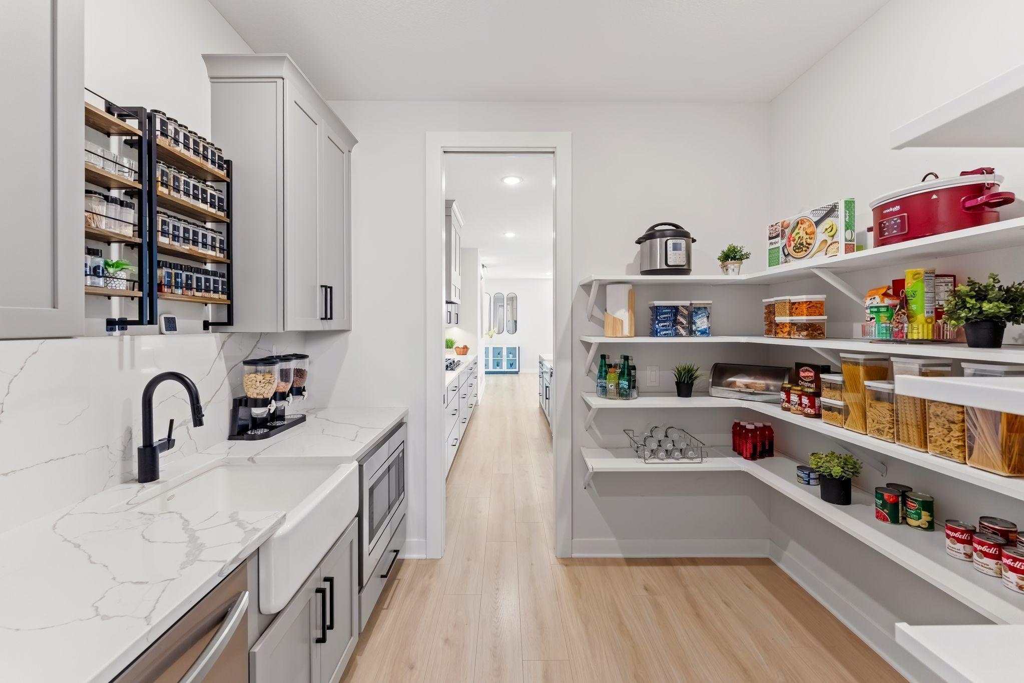 Spacious Walk In Pantry