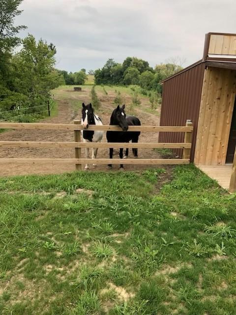 Everything you need for happy horses!