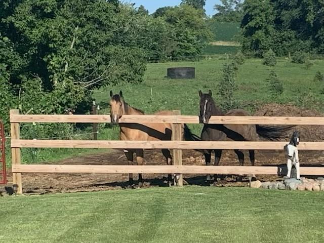 Horse area near tack room