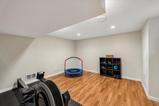 Flex Room (Lower Level)