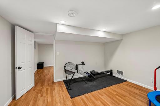 Flex Room (Lower Level)