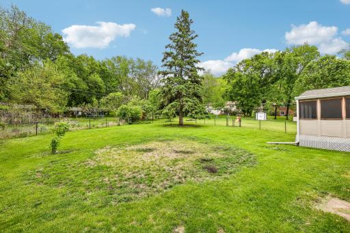 Partially Fenced-In Yard