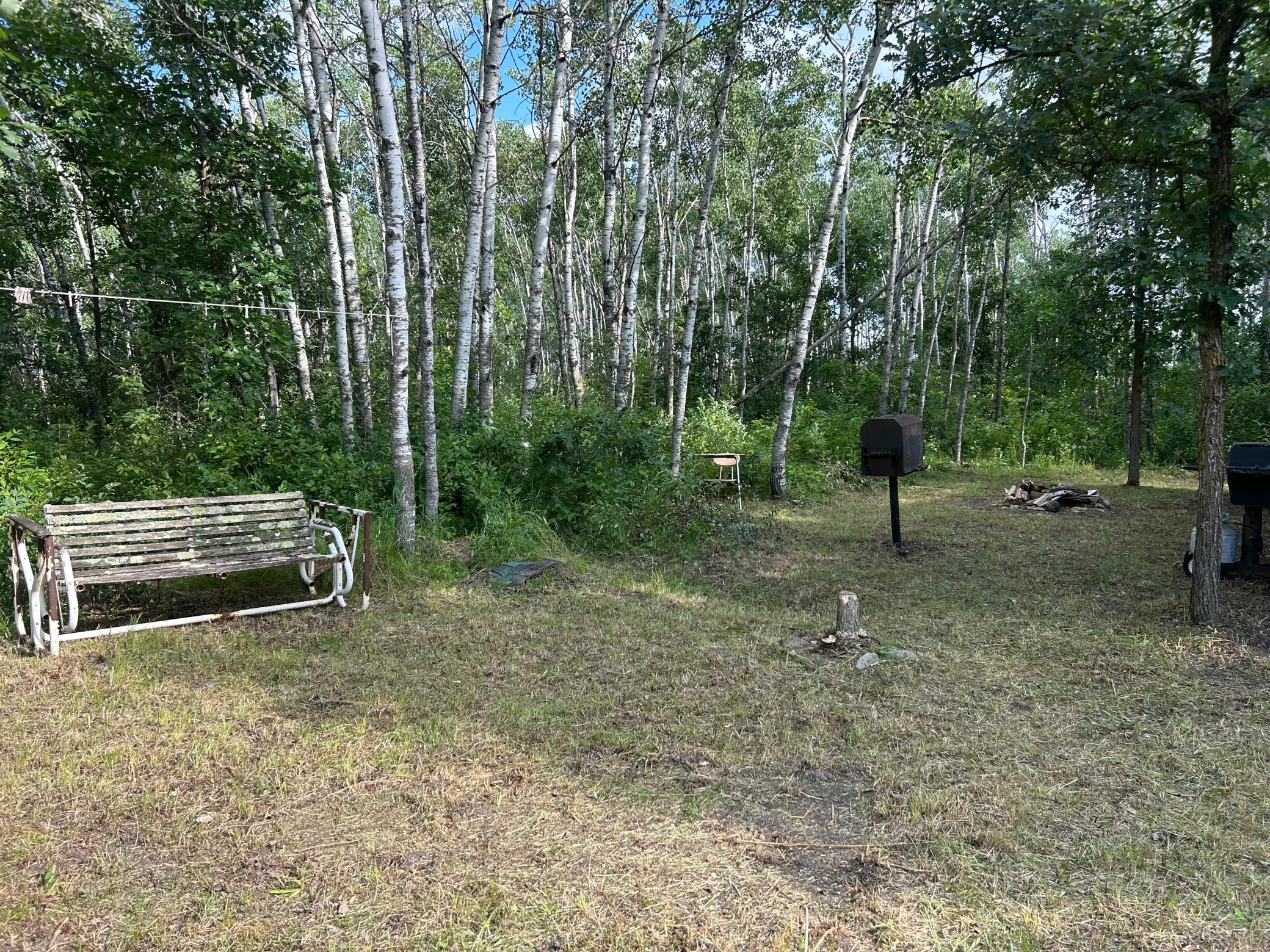 IMG_6447.jpeg