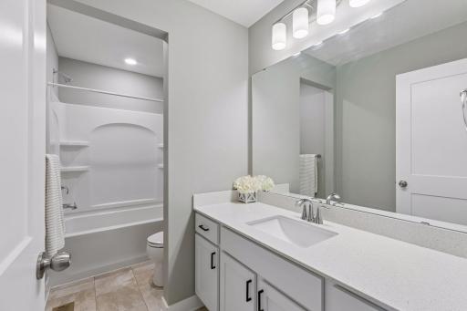 11302 Red Stem Court, Maple Grove, MN 55311