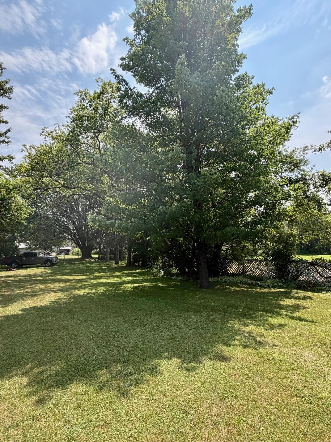 side yard.jpg