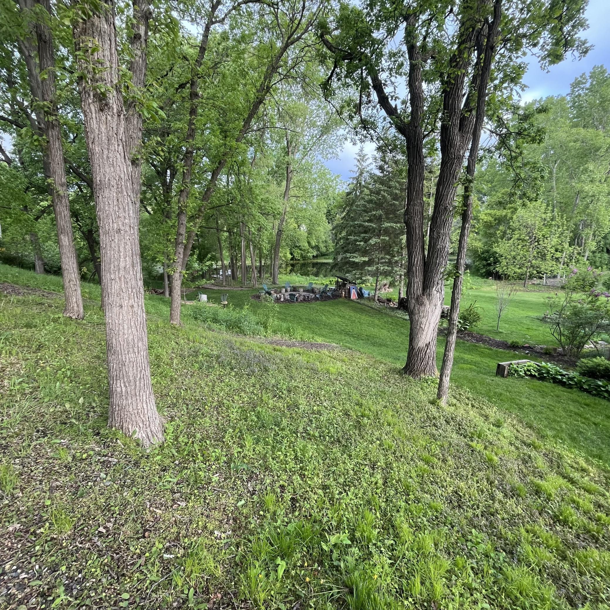 looking to the lake