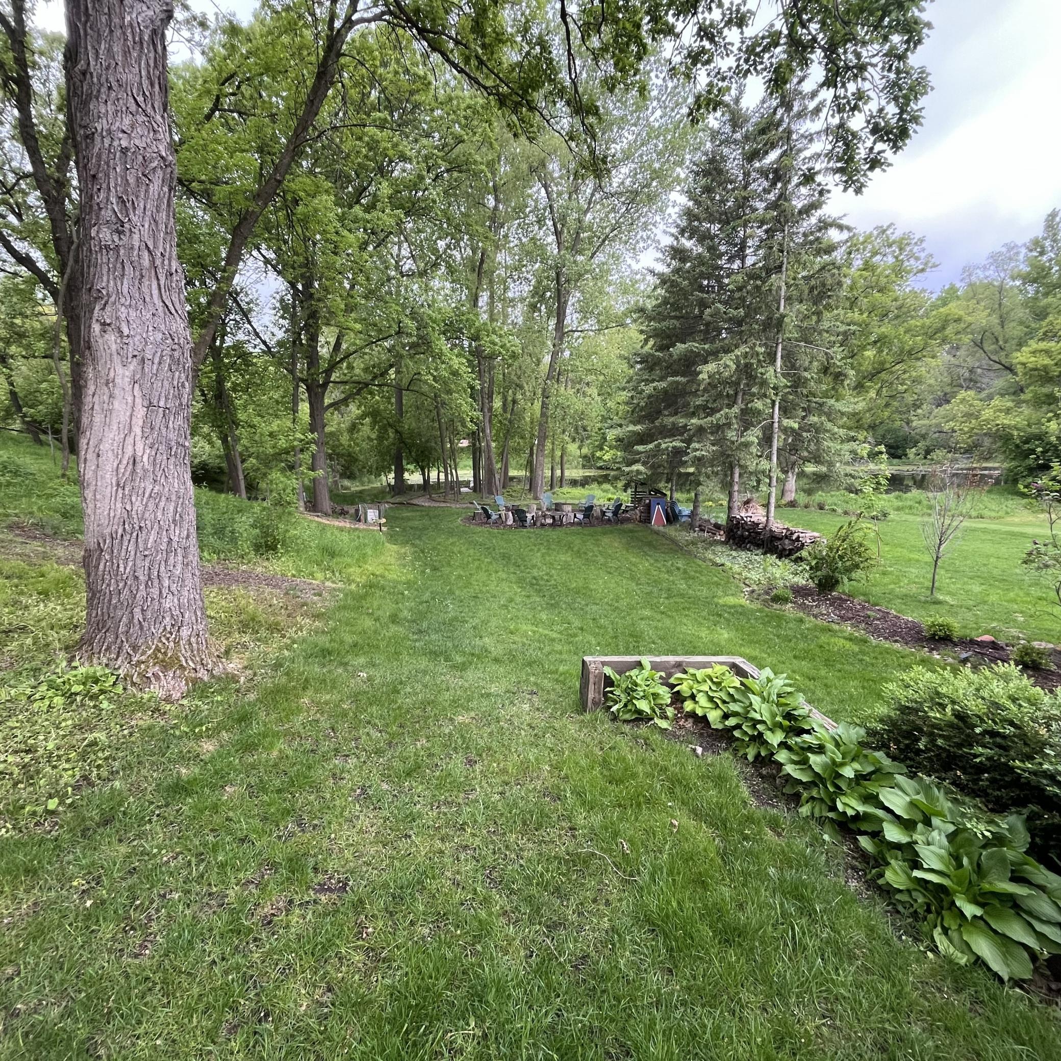 Mature trees