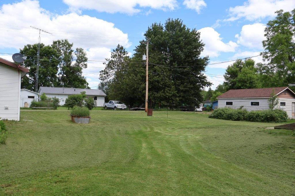 yard (1).jpg