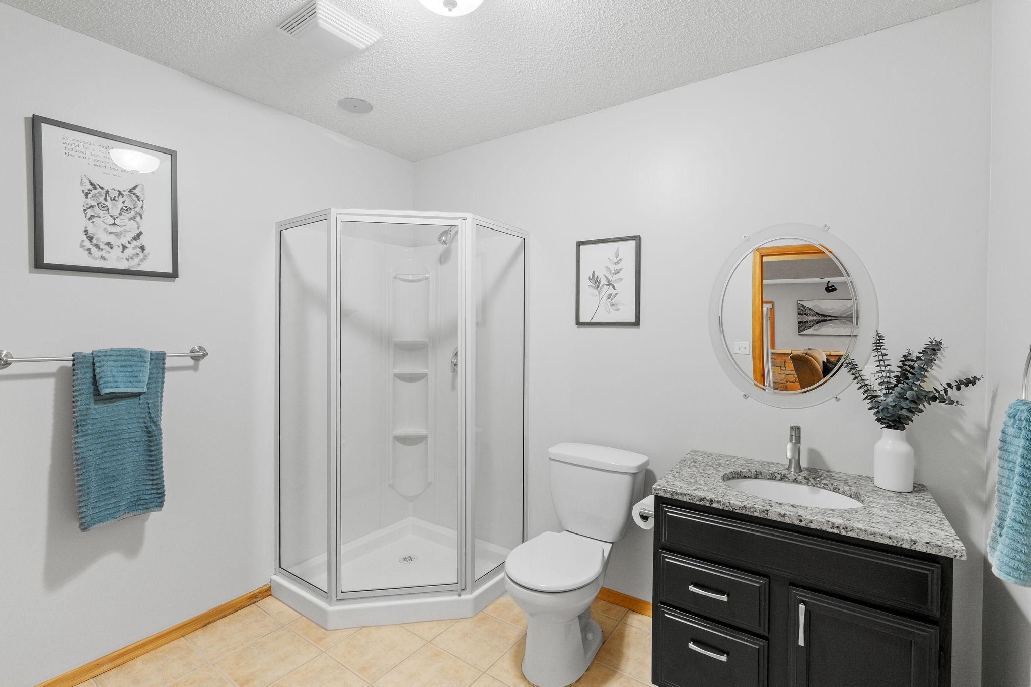 Lower level bathroom
