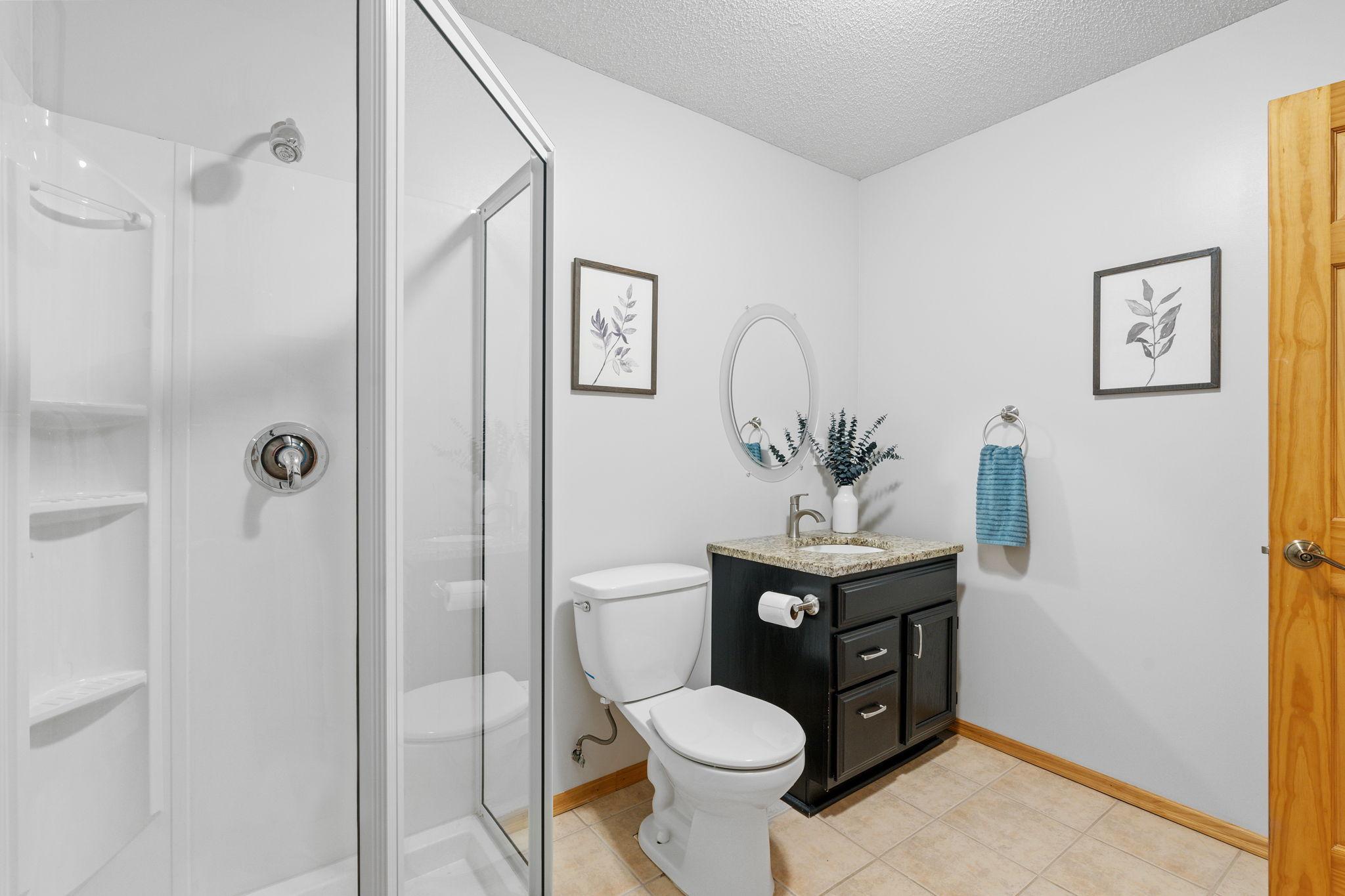 Lower level bathroom