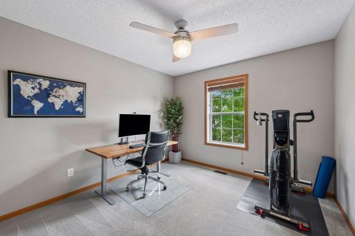 Bedroom 3 with updated ceiling fan, blinds and carpet. The bedroom has a great tree outside the window, providing a nice view and sun protection. This may be the only surviving tree along the driveways, due to the seller's care and watering.