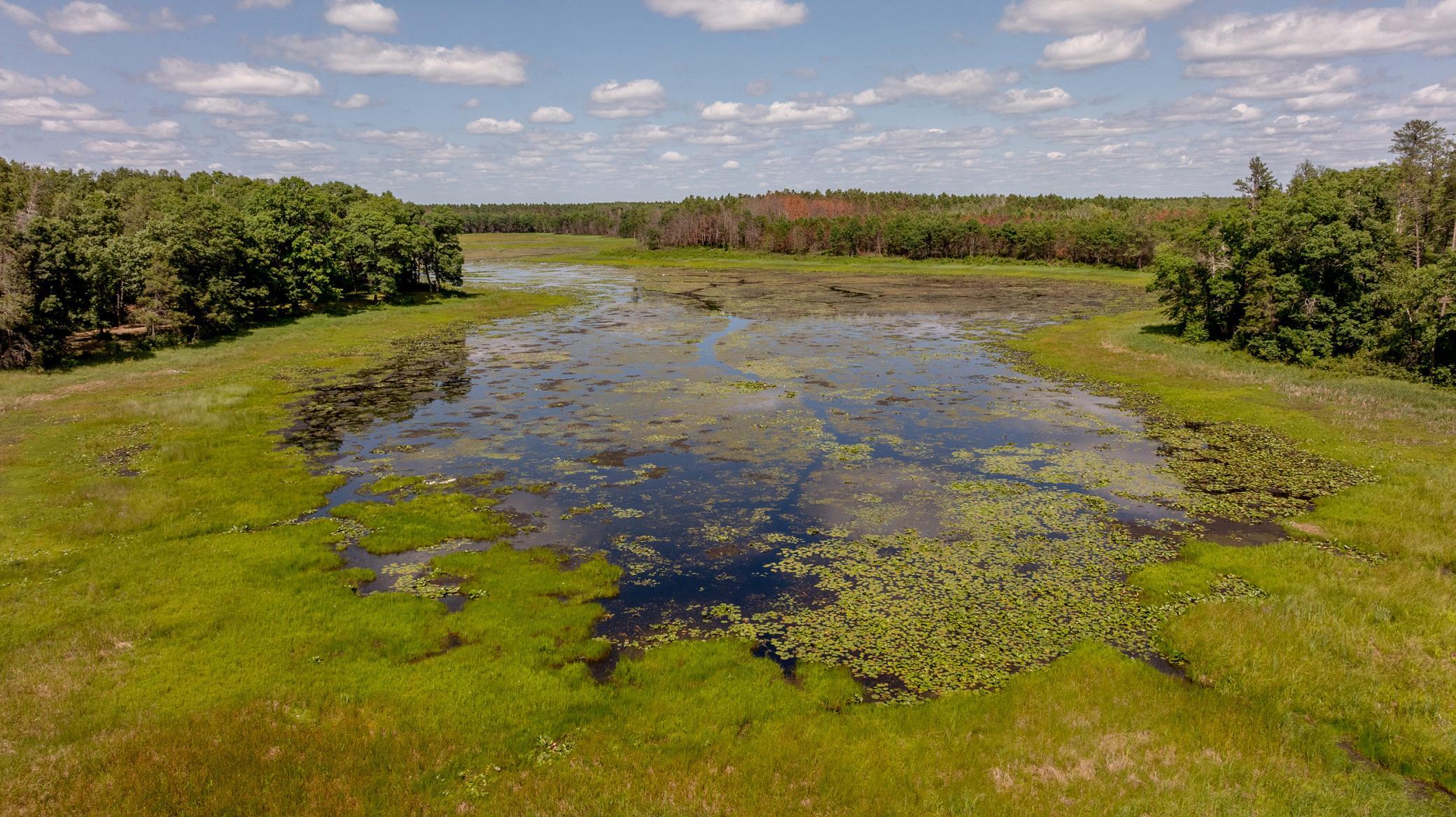 DJI_20260722123300_0037_D.jpg