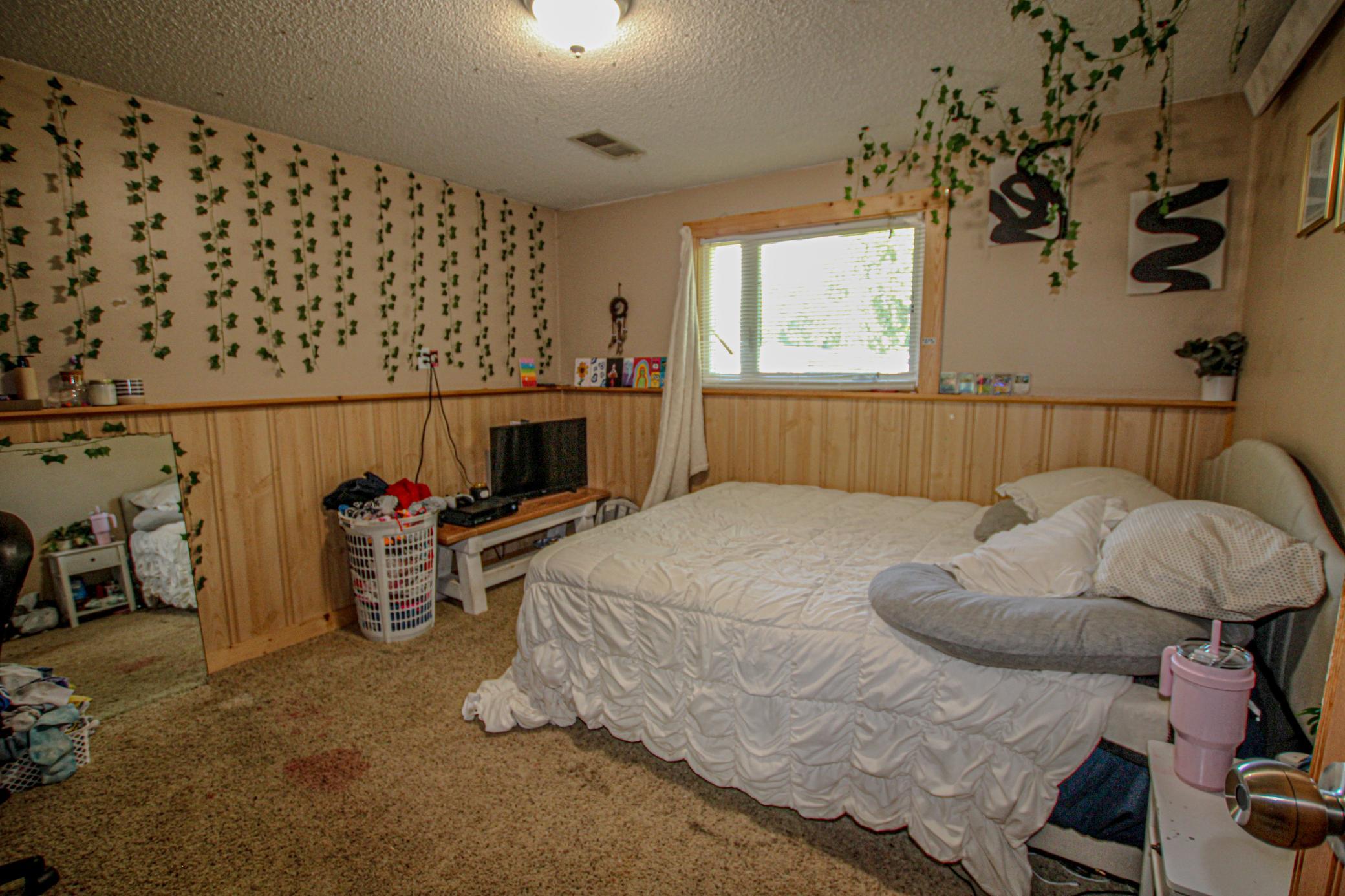 Bedroom 3-Lower Level.jpg