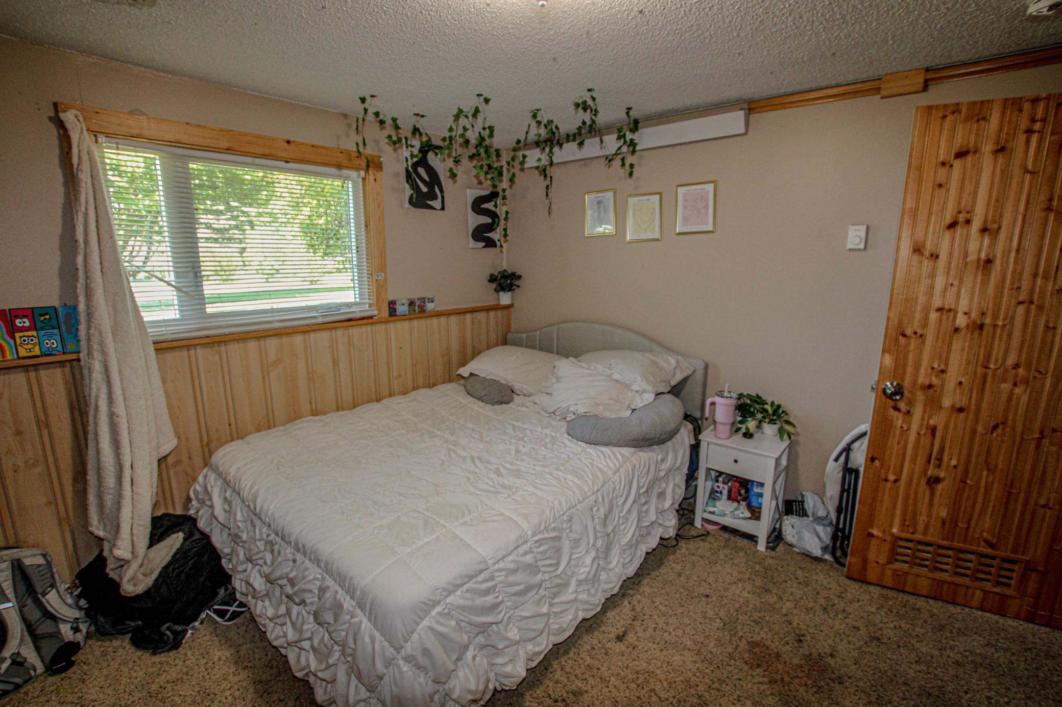 Bedroom 3-Lower Level.jpg