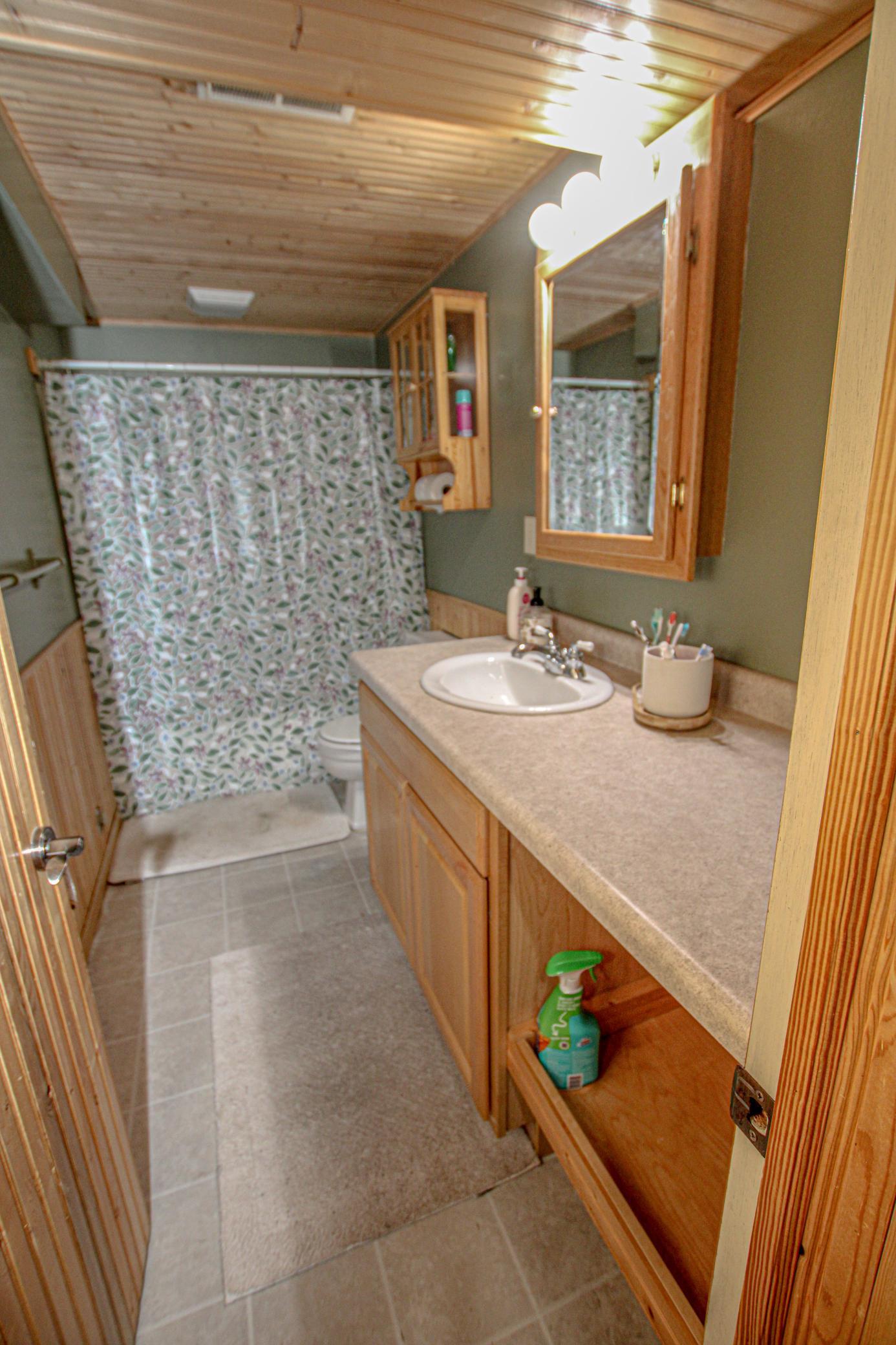 Bathroom-Lower Level.jpg
