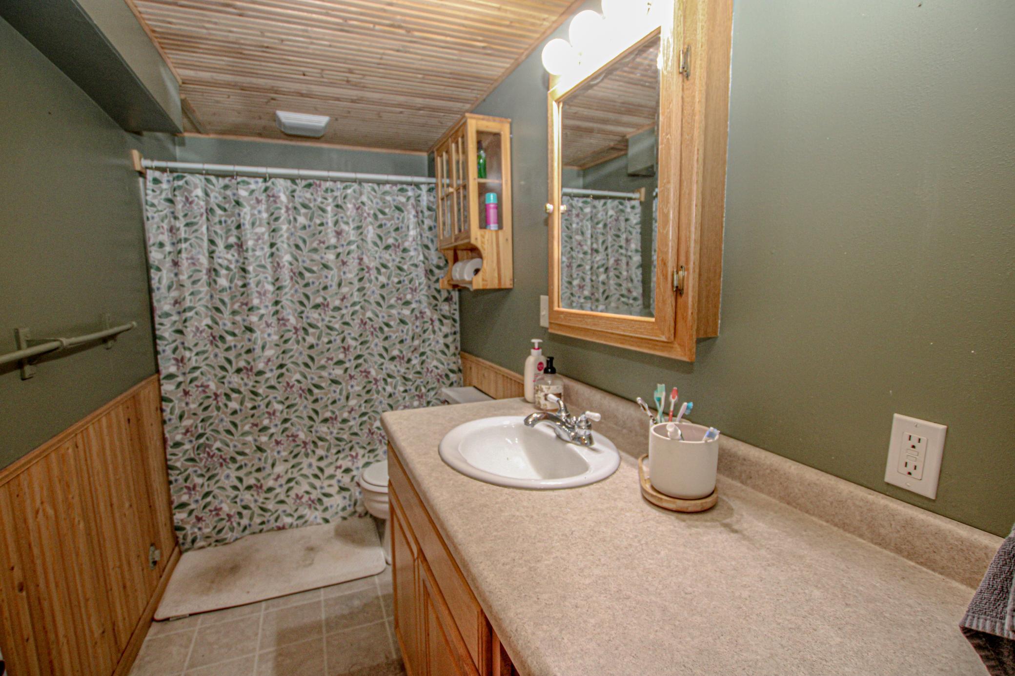 Bathroom-Lower Level.jpg
