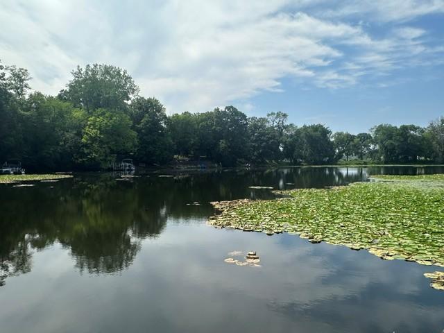 view from dock of the back bay